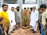 Green Seekers Activity